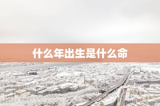 什么年出生是什么命