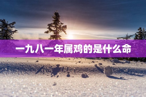 一九八一年属鸡的是什么命