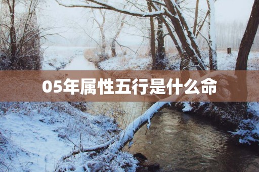 05年属性五行是什么命