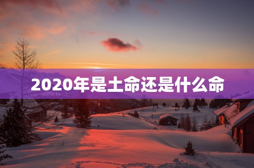 2025年是土命还是什么命