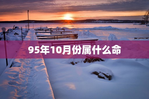 95年10月份属什么命