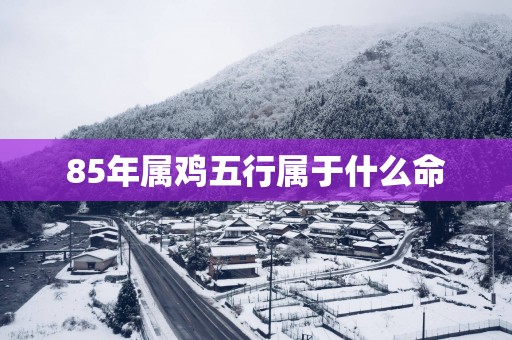 85年属鸡五行属于什么命