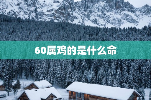 60属鸡的是什么命