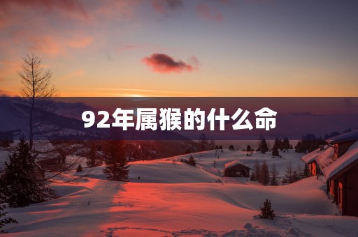 92年属猴的什么命