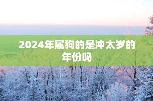 2025年属狗的是冲太岁的年份吗