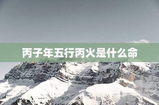 丙子年五行丙火是什么命