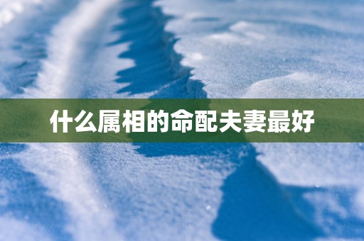 什么属相的命配夫妻最好