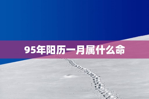 95年阳历一月属什么命
