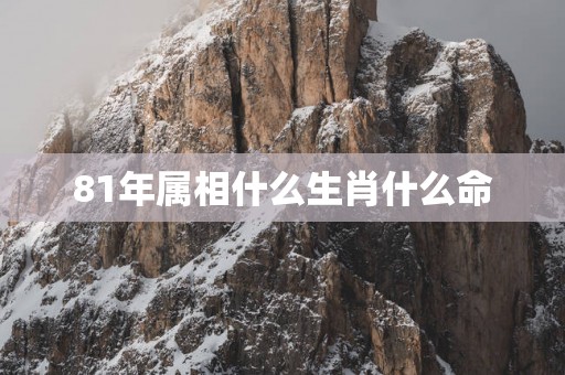 81年属相什么生肖什么命