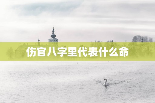 伤官八字里代表什么命