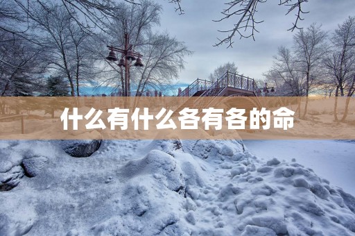 什么有什么各有各的命