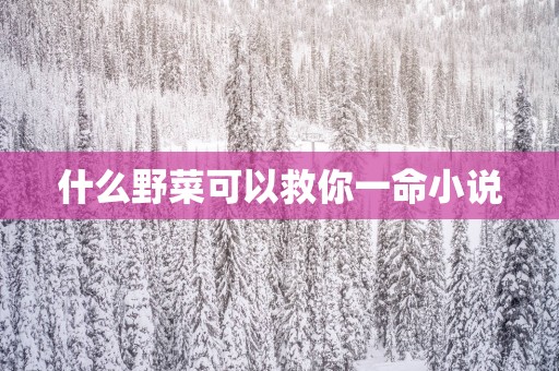 什么野菜可以救你一命小说