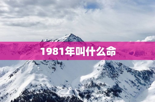 1981年叫什么命