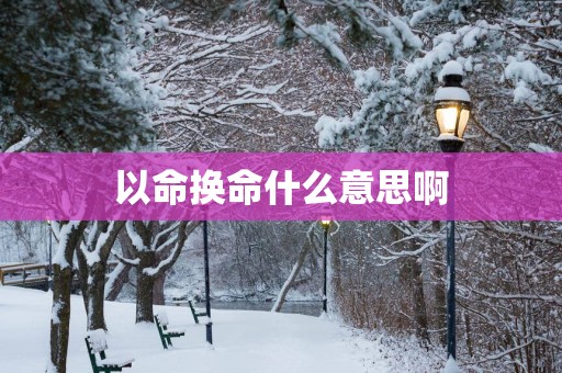 以命换命什么意思啊