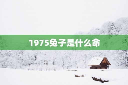 1975兔子是什么命