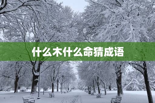 什么木什么命猜成语