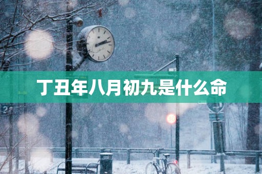 丁丑年八月初九是什么命