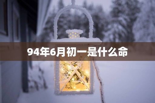 94年6月初一是什么命