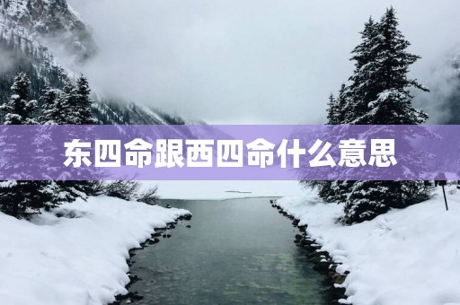 东四命跟西四命什么意思