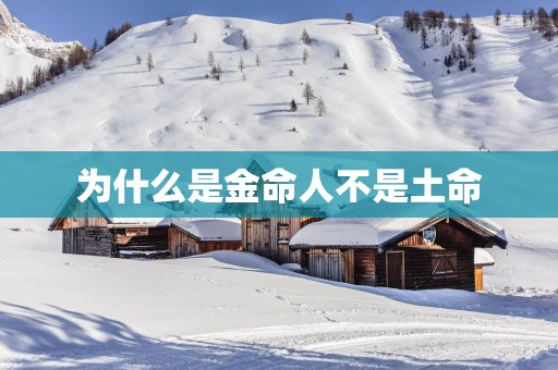 为什么是金命人不是土命