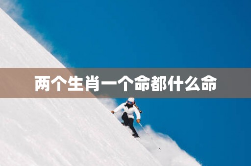 两个生肖一个命都什么命