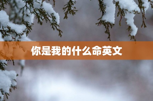 你是我的什么命英文