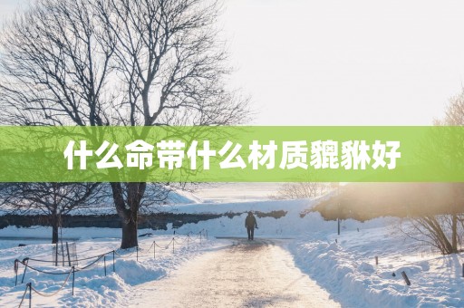 什么命带什么材质貔貅好