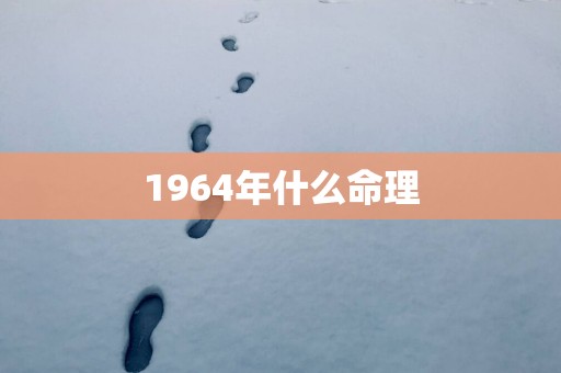 1964年什么命理