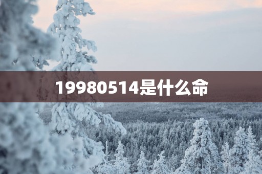 19980514是什么命