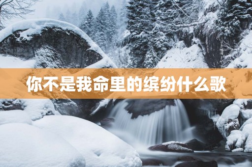 你不是我命里的缤纷什么歌