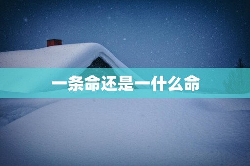 一条命还是一什么命