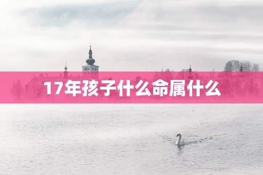 17年孩子什么命属什么