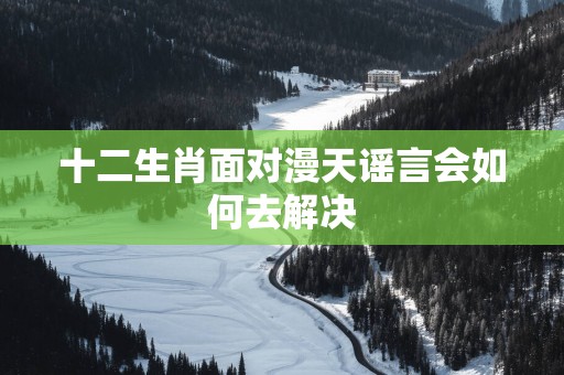 十二生肖面对漫天谣言会如何去解决