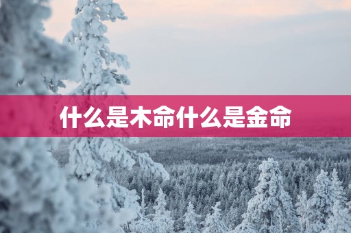 什么是木命什么是金命