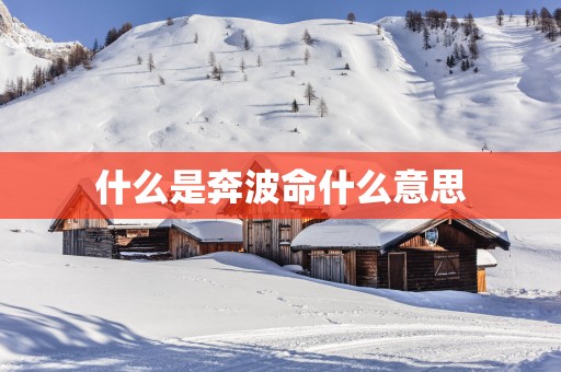 什么是奔波命什么意思