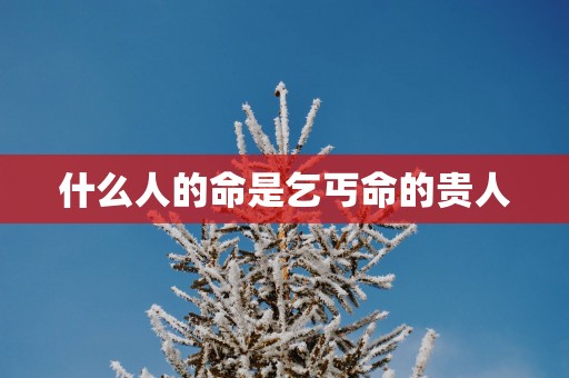 什么人的命是乞丐命的贵人