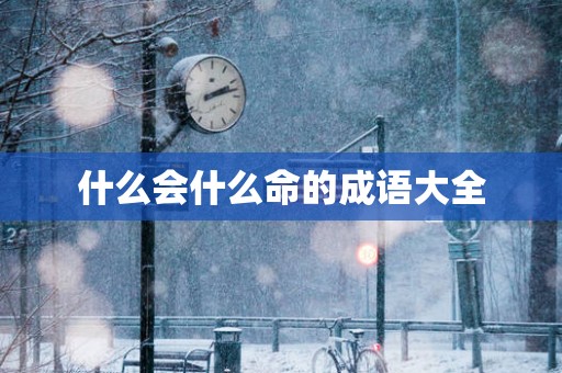 什么会什么命的成语大全