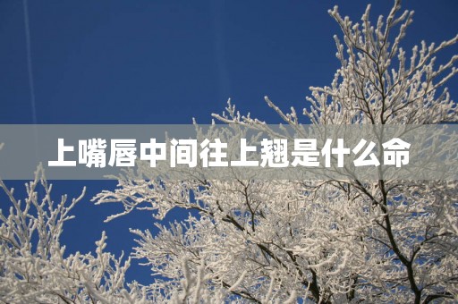 上嘴唇中间往上翘是什么命