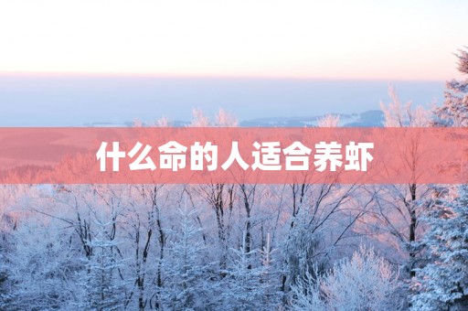 什么命的人适合养虾