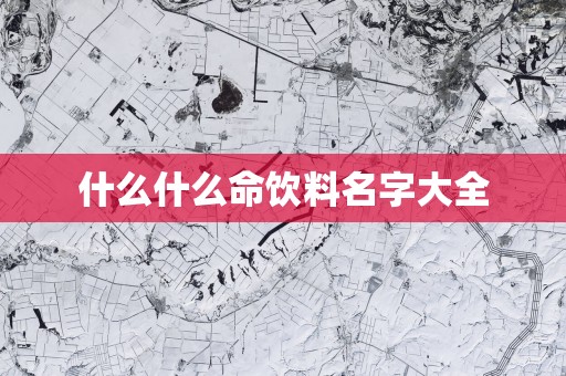 什么什么命饮料名字大全