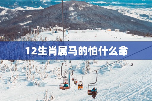 12生肖属马的怕什么命