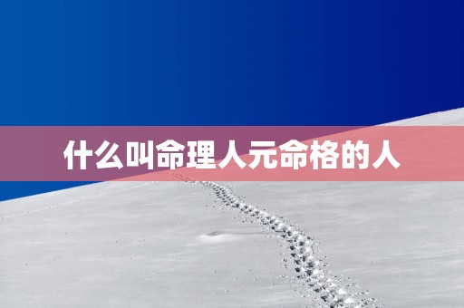什么叫命理人元命格的人