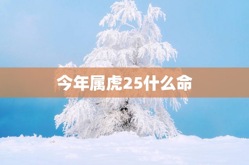今年属虎25什么命