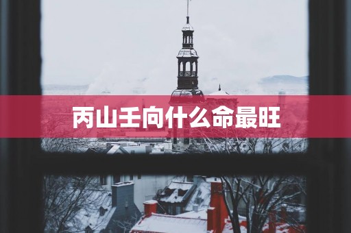 丙山壬向什么命最旺