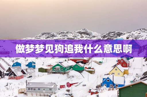 做梦梦见狗追我什么意思啊