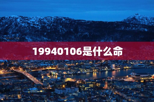 19940106是什么命
