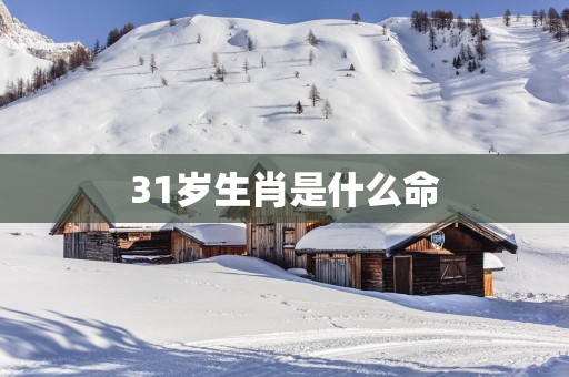 31岁生肖是什么命