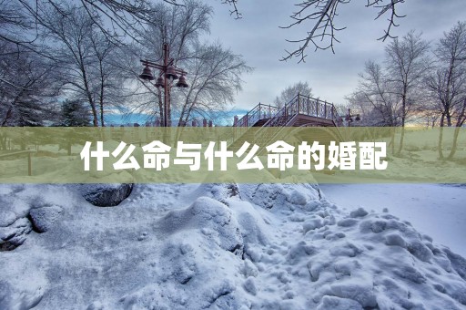 什么命与什么命的婚配