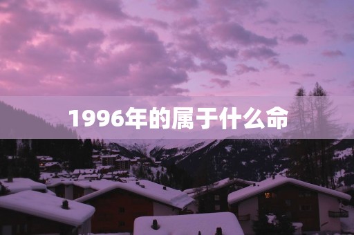 1996年的属于什么命