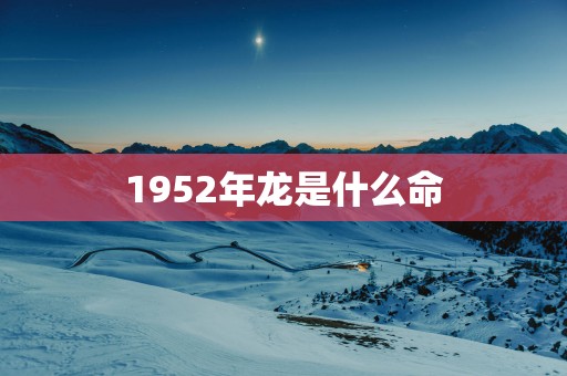1952年龙是什么命